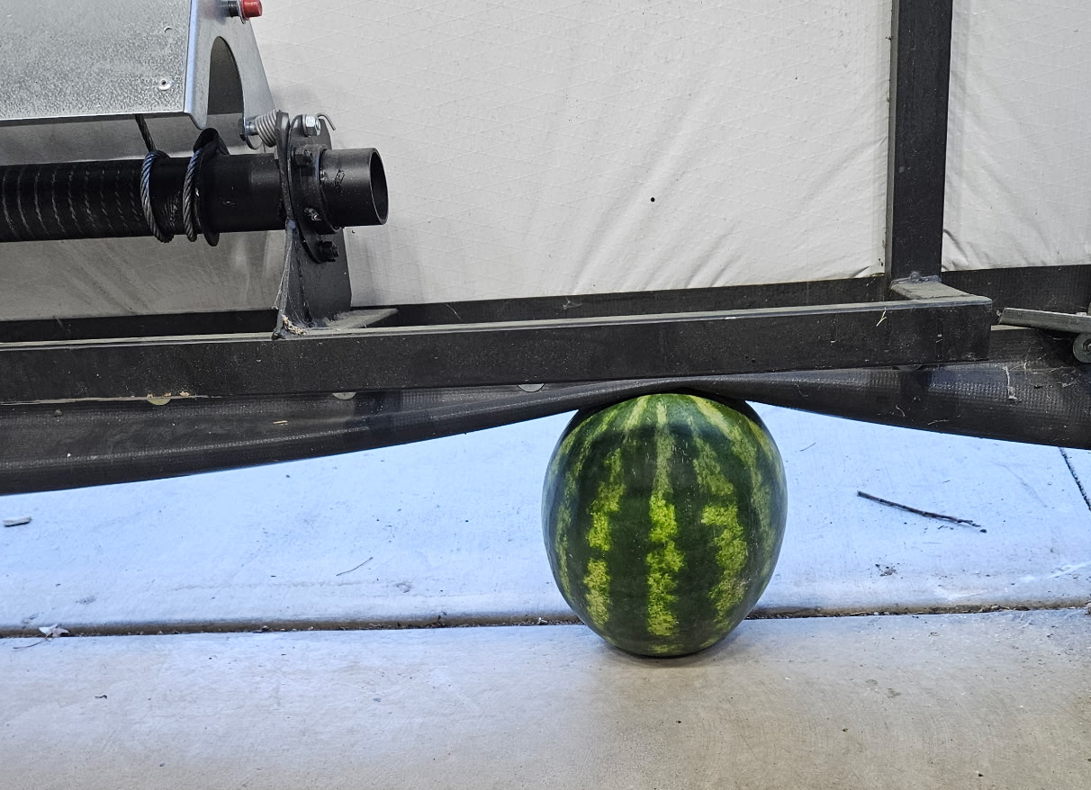 Watermelon Test
